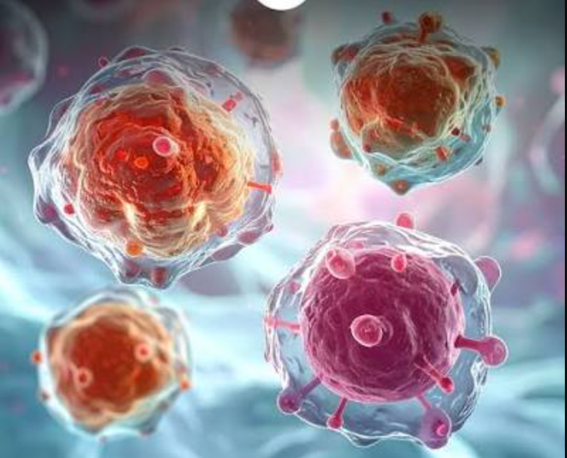 The Dopamine Comeback: Japan's Historic iPS Approval for Parkinson's